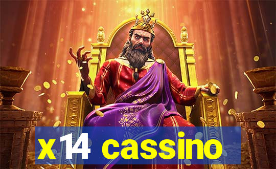 x14 cassino